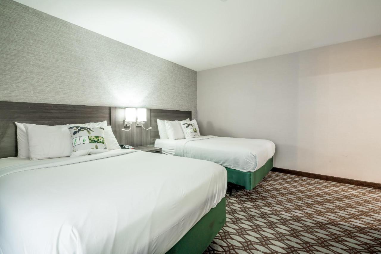 Letap Hotel Near Airtrain Jfk Airport New York City Exterior photo